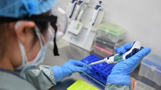 核酸检测全部阴性，广州长隆欢乐世界恢复正常营运